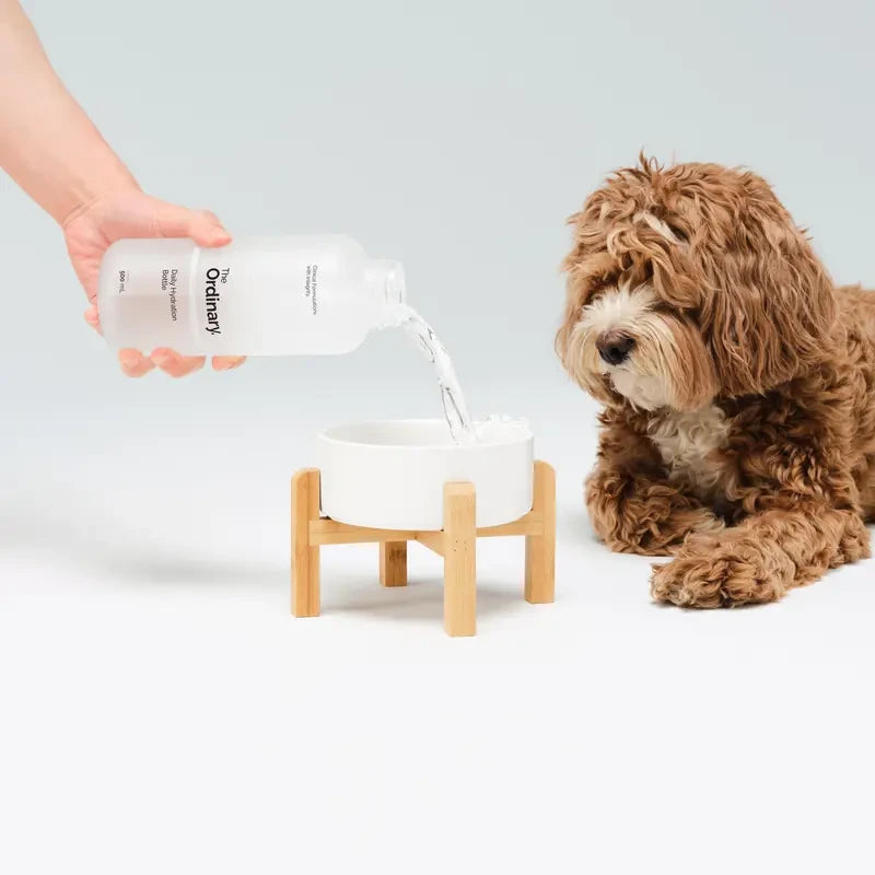 The Ordinary Hydration Bottle