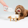 The Ordinary Hydration Bottle